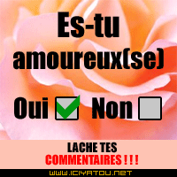 es-tu amoureux(se)?