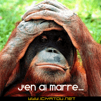 j'en ai marre