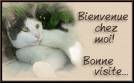 Bienvenue sur mon blog