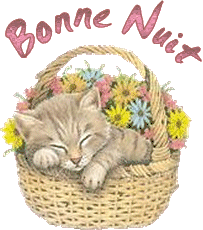 Bonne nuit
