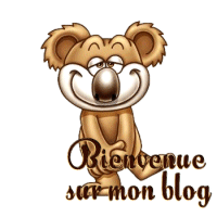 Bienvenue dans mon blog