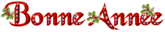 BONNE ANNEE